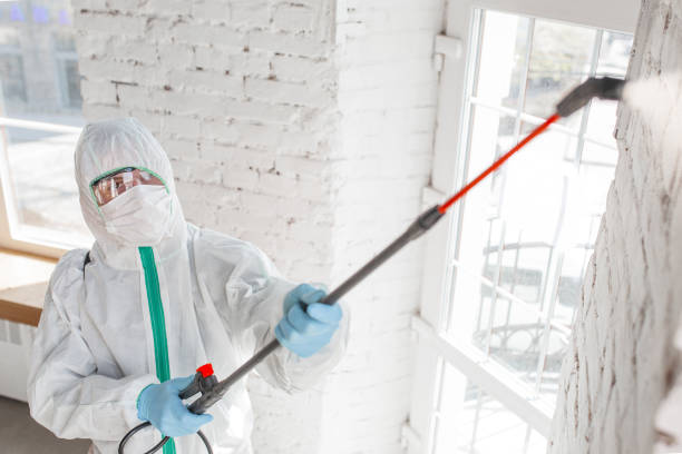 Dehumidification Services in Ronan, MT