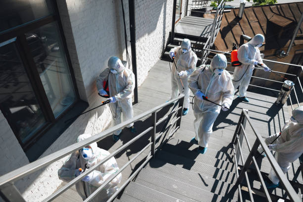  Ronan, MT Mold Removal Pros
