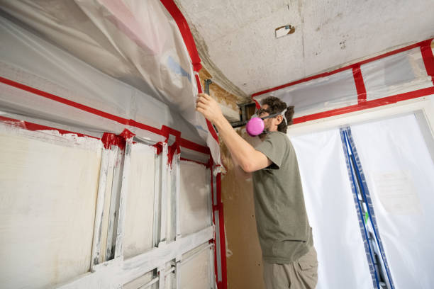 Best Indoor Air Quality Assessment  in Ronan, MT