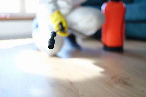 Ronan, MT Mold Removal Company