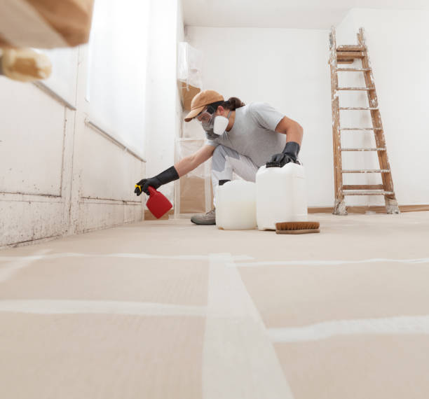 Best Environmental Consulting for Mold Prevention  in Ronan, MT