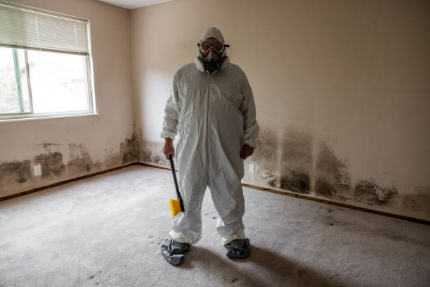 Best HVAC Mold Inspection and Cleaning  in Ronan, MT